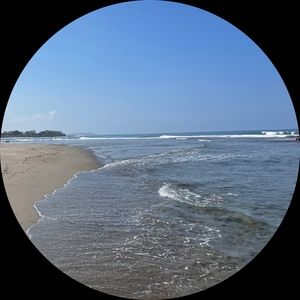 Meet your Posher, Cat